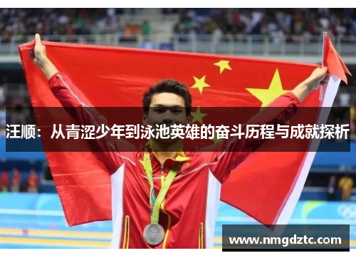 汪顺：从青涩少年到泳池英雄的奋斗历程与成就探析