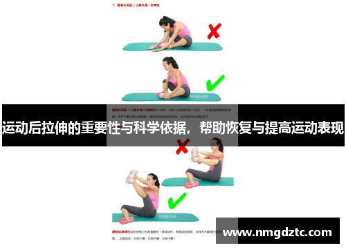 运动后拉伸的重要性与科学依据，帮助恢复与提高运动表现