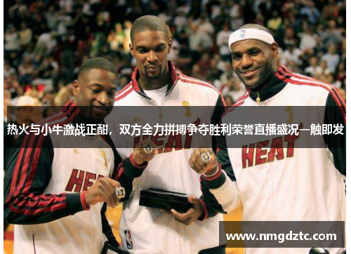 热火与小牛激战正酣，双方全力拼搏争夺胜利荣誉直播盛况一触即发