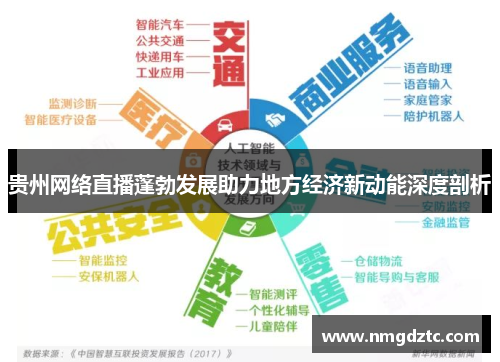 贵州网络直播蓬勃发展助力地方经济新动能深度剖析